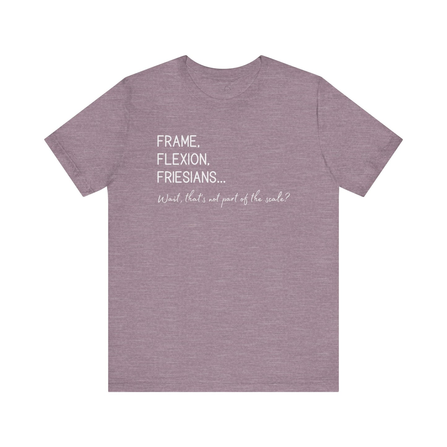 Dressage rider education scale shirt
